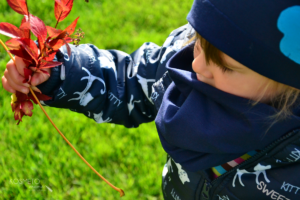 lookbook-na-jesień-dla-dziewczynek